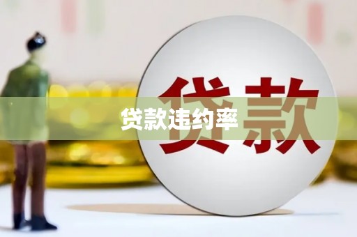 繁昌贷款违约率