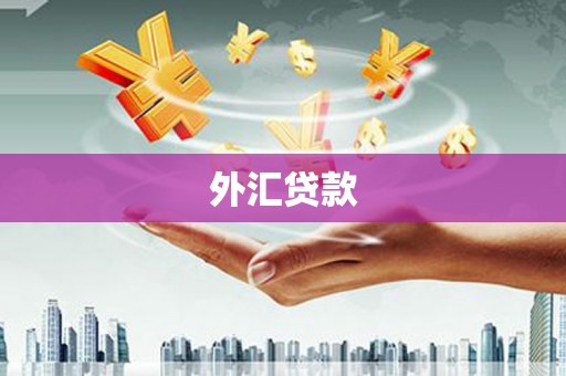 塔什库尔干塔吉克外汇贷款