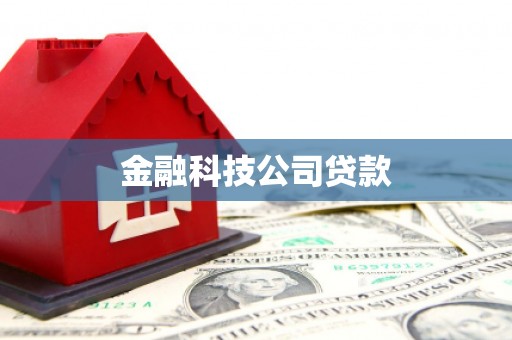 南阳金融科技公司贷款