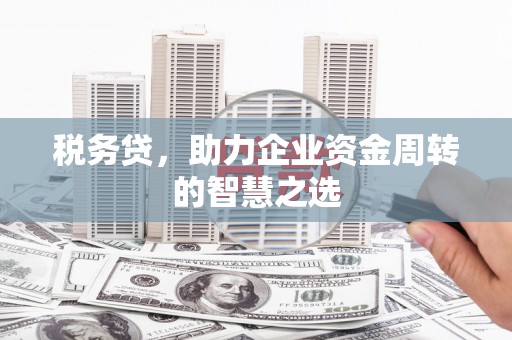 湖内税务贷，助力企业资金周转的智慧之选