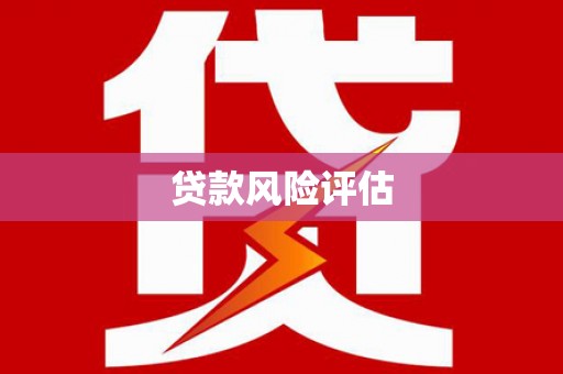 正宁贷款风险评估