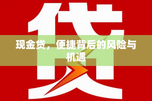 宝山现金贷，便捷背后的风险与机遇