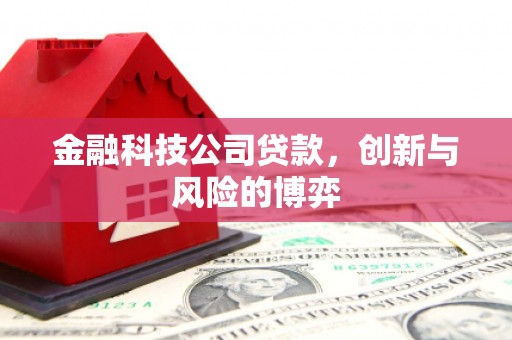 福兴金融科技公司贷款，创新与风险的博弈
