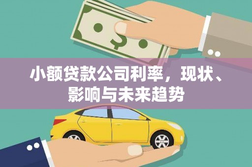 乾安小额贷款公司利率，现状、影响与未来趋势