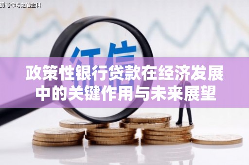 安阳政策性银行贷款在经济发展中的关键作用与未来展望