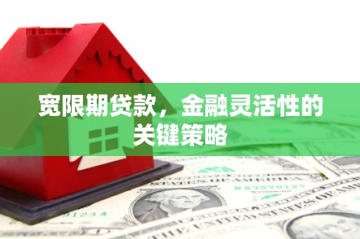 嘉禾宽限期贷款，金融灵活性的关键策略