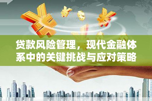 延庆贷款风险管理，现代金融体系中的关键挑战与应对策略