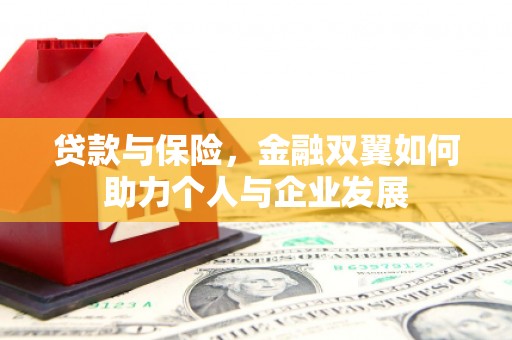 马山贷款与保险，金融双翼如何助力个人与企业发展