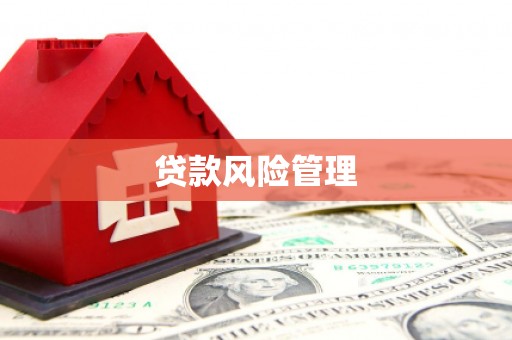 志丹贷款风险管理