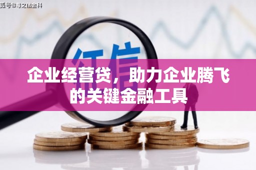 岱岳企业经营贷，助力企业腾飞的关键金融工具