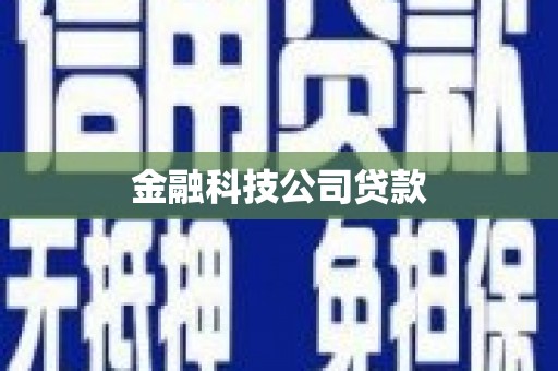 皇姑金融科技公司贷款