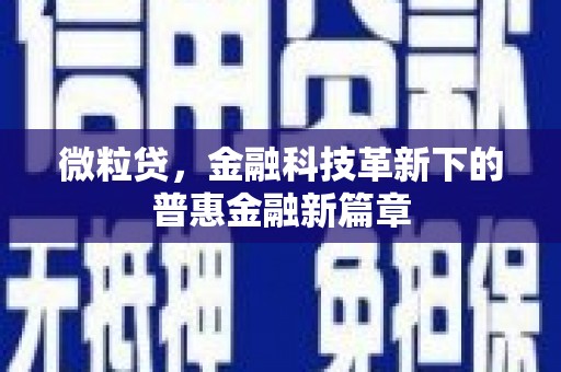 耒阳微粒贷，金融科技革新下的普惠金融新篇章