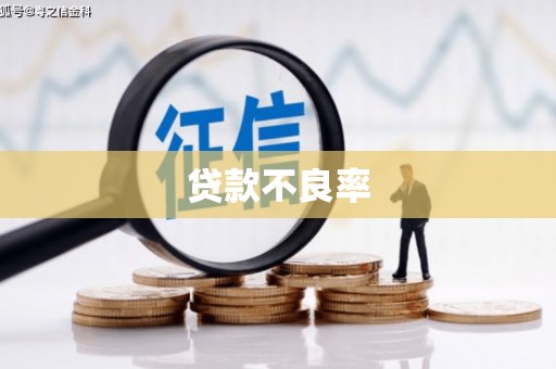 丽水贷款不良率