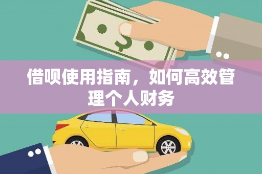 沙湾借呗使用指南，如何高效管理个人财务