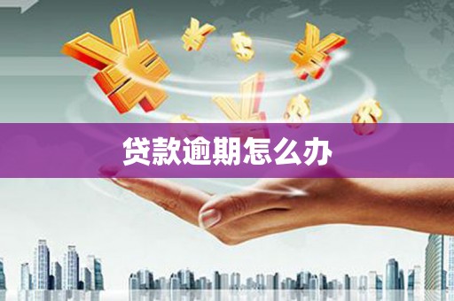 阜南贷款逾期怎么办