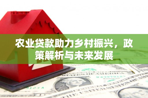 宜兰农业贷款助力乡村振兴，政策解析与未来发展