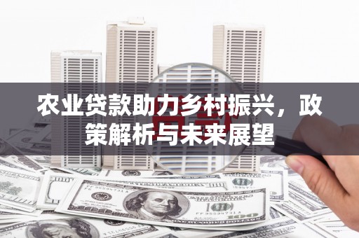 四湖农业贷款助力乡村振兴，政策解析与未来展望