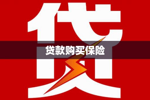 镇平贷款购买保险