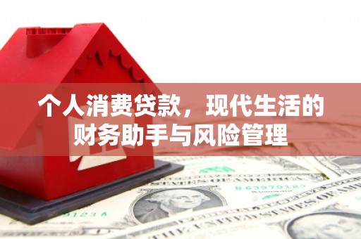 汕尾个人消费贷款，现代生活的财务助手与风险管理