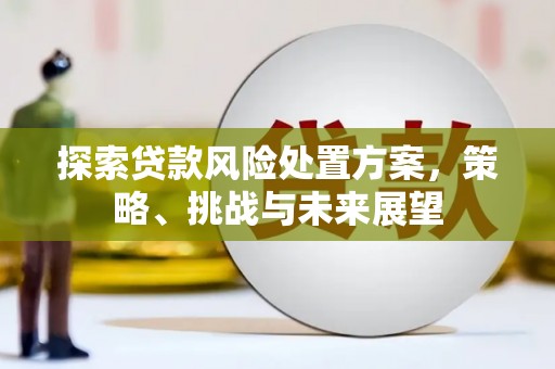 克孜勒苏柯尔克孜探索贷款风险处置方案，策略、挑战与未来展望