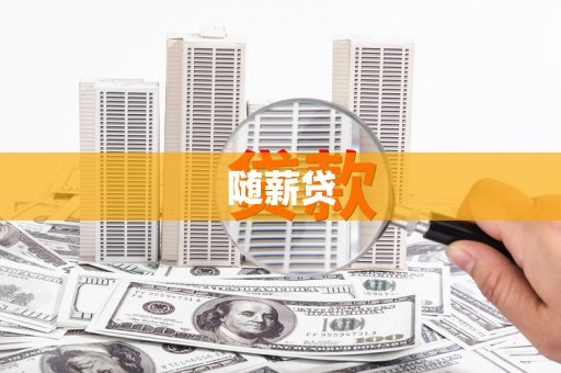 龙文随薪贷