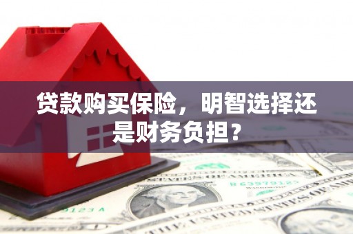 滁州贷款购买保险，明智选择还是财务负担？