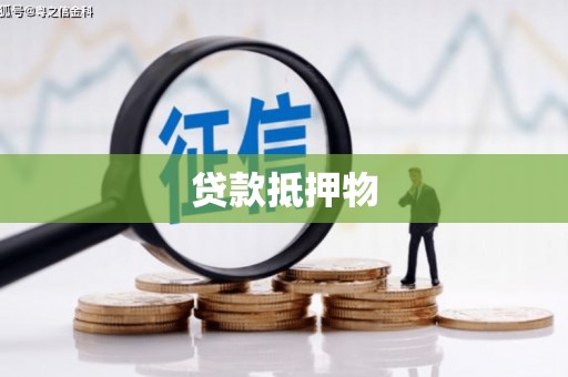常平贷款抵押物