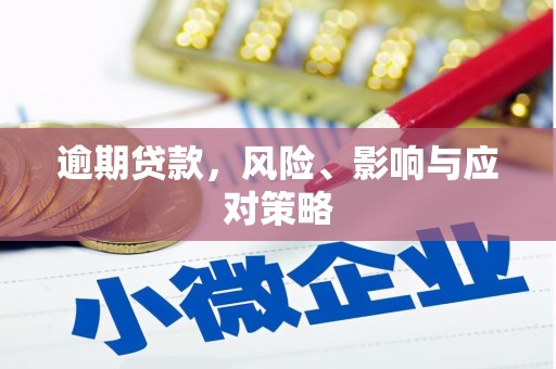皇姑逾期贷款，风险、影响与应对策略