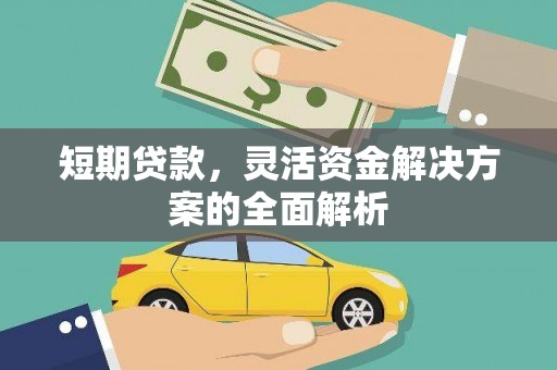 循化短期贷款，灵活资金解决方案的全面解析