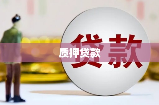 凤台质押贷款