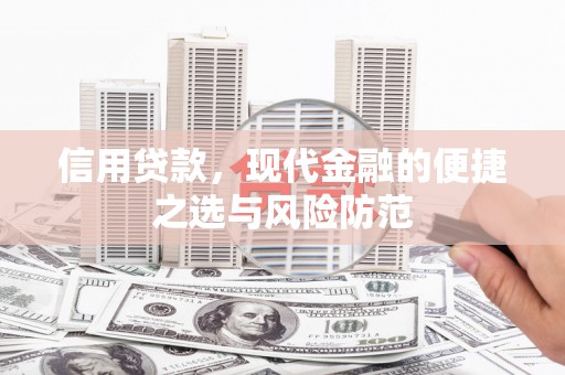 湖西信用贷款，现代金融的便捷之选与风险防范