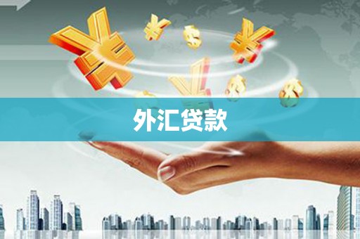 黔西外汇贷款