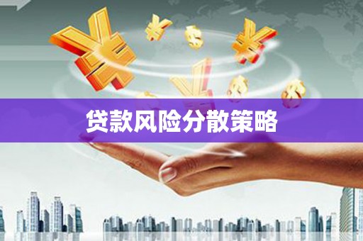 盐田贷款风险分散策略