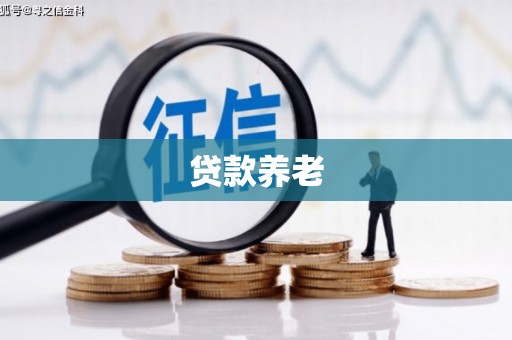 巴里坤贷款养老