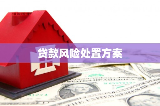 苑里贷款风险处置方案
