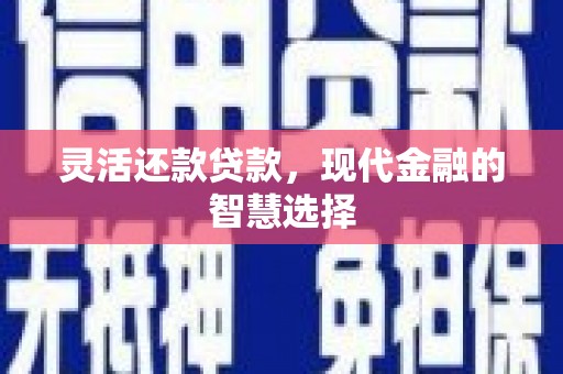 贵定灵活还款贷款，现代金融的智慧选择