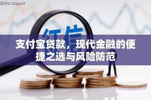 海端支付宝贷款，现代金融的便捷之选与风险防范