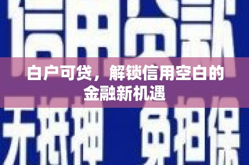 崇左白户可贷，解锁信用空白的金融新机遇