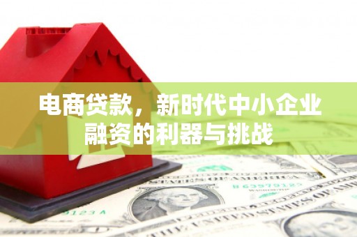 国姓电商贷款，新时代中小企业融资的利器与挑战