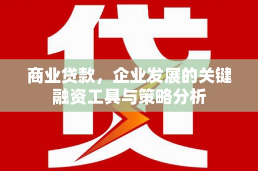 双滦商业贷款，企业发展的关键融资工具与策略分析