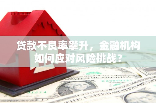 怀远贷款不良率攀升，金融机构如何应对风险挑战？