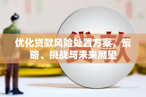曾都优化贷款风险处置方案，策略、挑战与未来展望