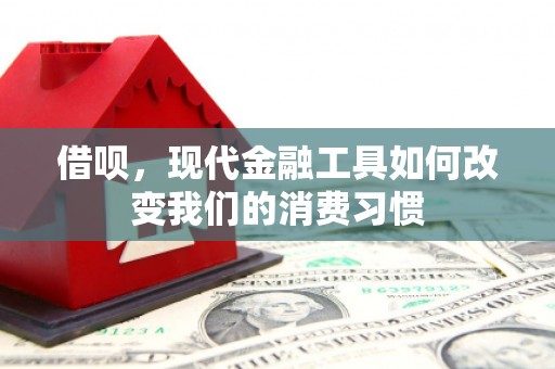 东乌旗借呗，现代金融工具如何改变我们的消费习惯