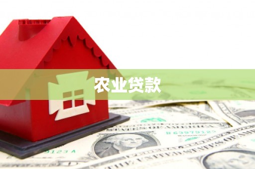 昂仁农业贷款