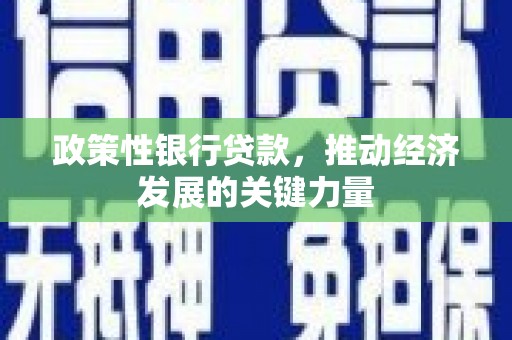 头份政策性银行贷款，推动经济发展的关键力量