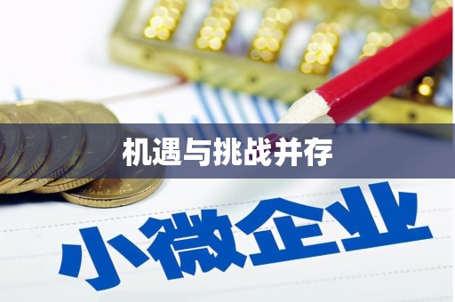 赫山机遇与挑战并存