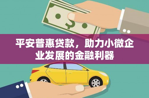 漳州平安普惠贷款，助力小微企业发展的金融利器