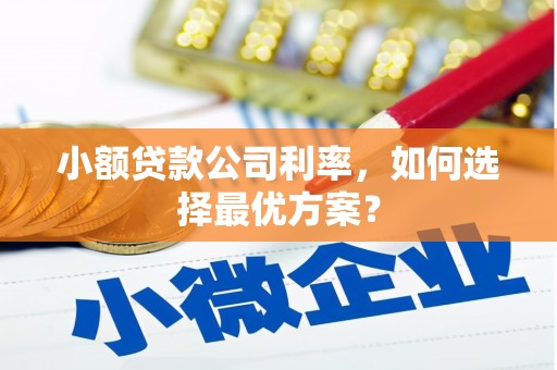 新绛小额贷款公司利率，如何选择最优方案？