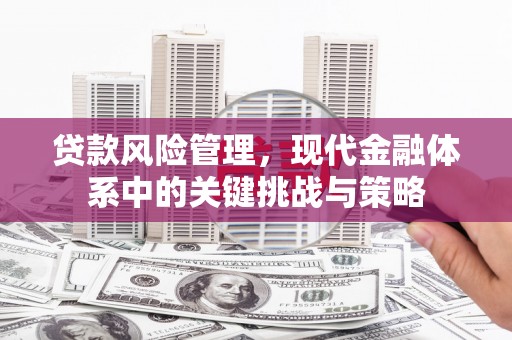 呼玛贷款风险管理，现代金融体系中的关键挑战与策略
