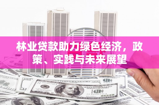 思南林业贷款助力绿色经济，政策、实践与未来展望